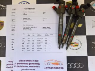 WP_20241003_14_10_23_Rich_LI-–-kopija-–-kopija