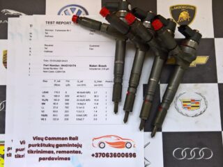 WP_20241121_09_02_44_Rich_LI-–-kopija-–-kopija