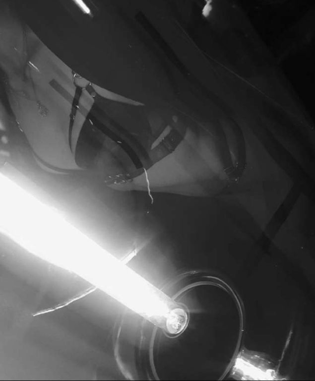 Maloni mergina priimtų į svečius