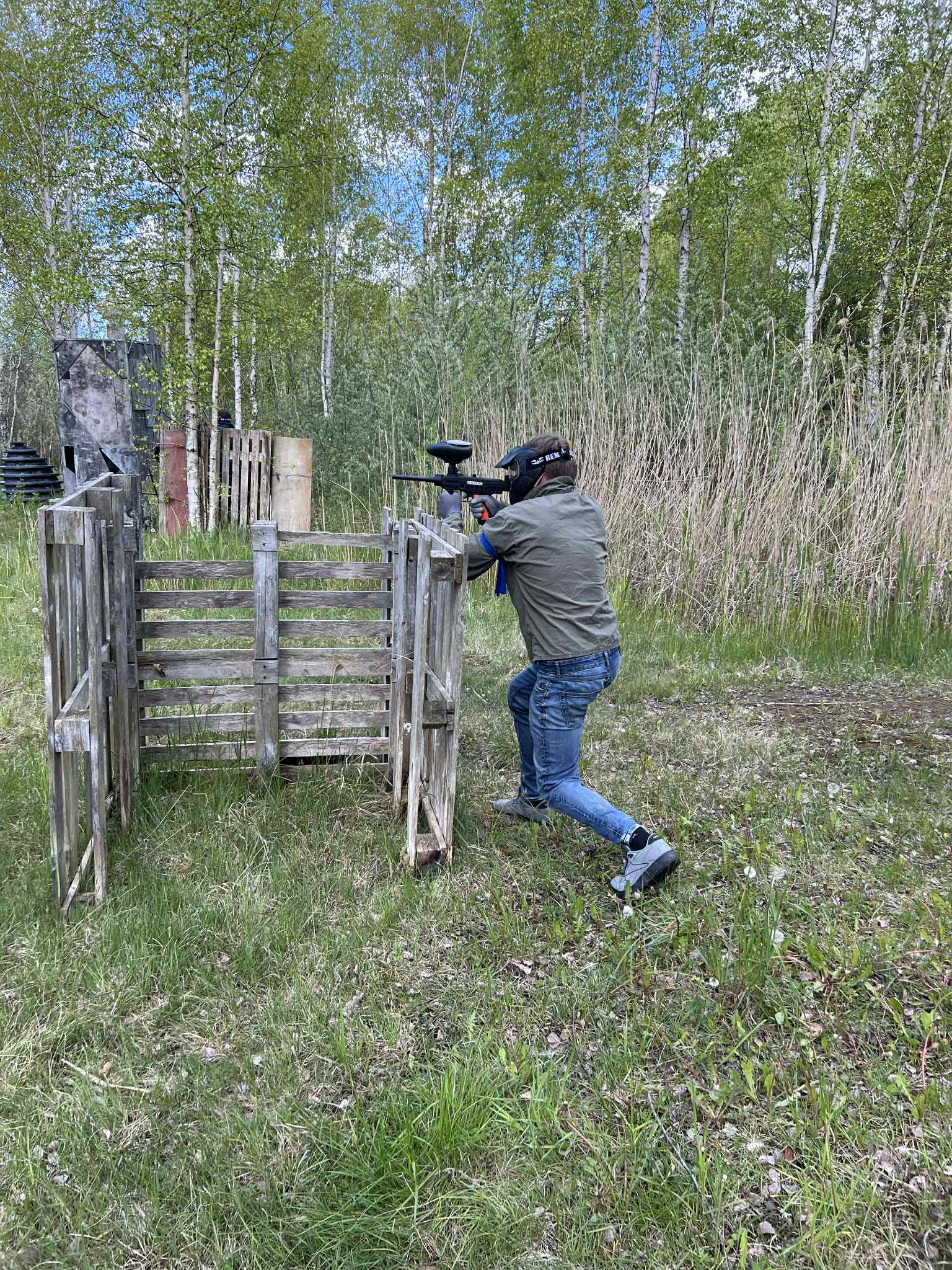 Dažasvydis Gargžduose