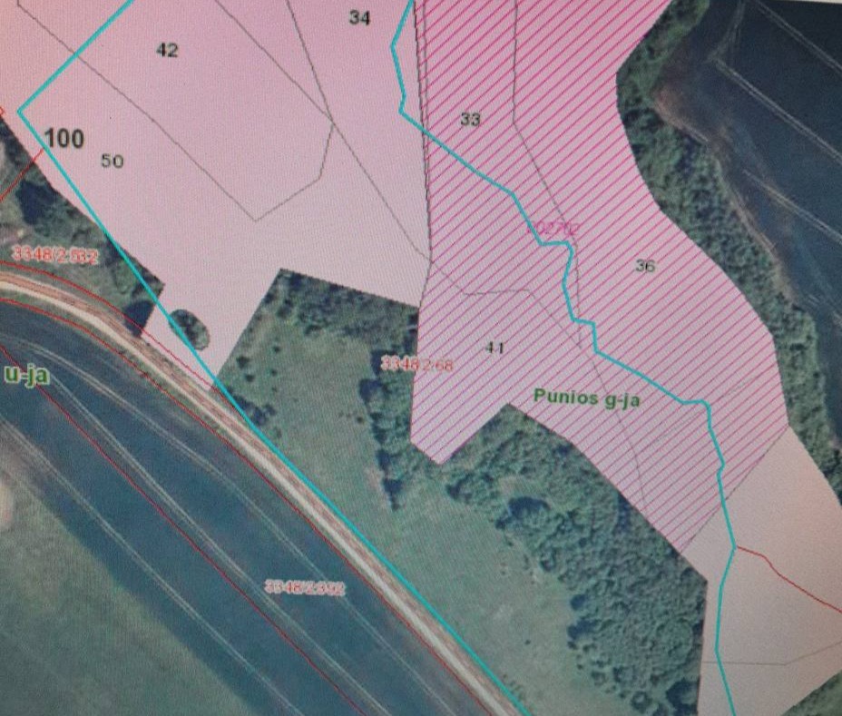 PARDUODAMAS 4,0996 HA SKLYPAS MARGARAVOS K., ALYTAUS R. – ŠALIA NEMUNO IR PUNIOS ŠILO!