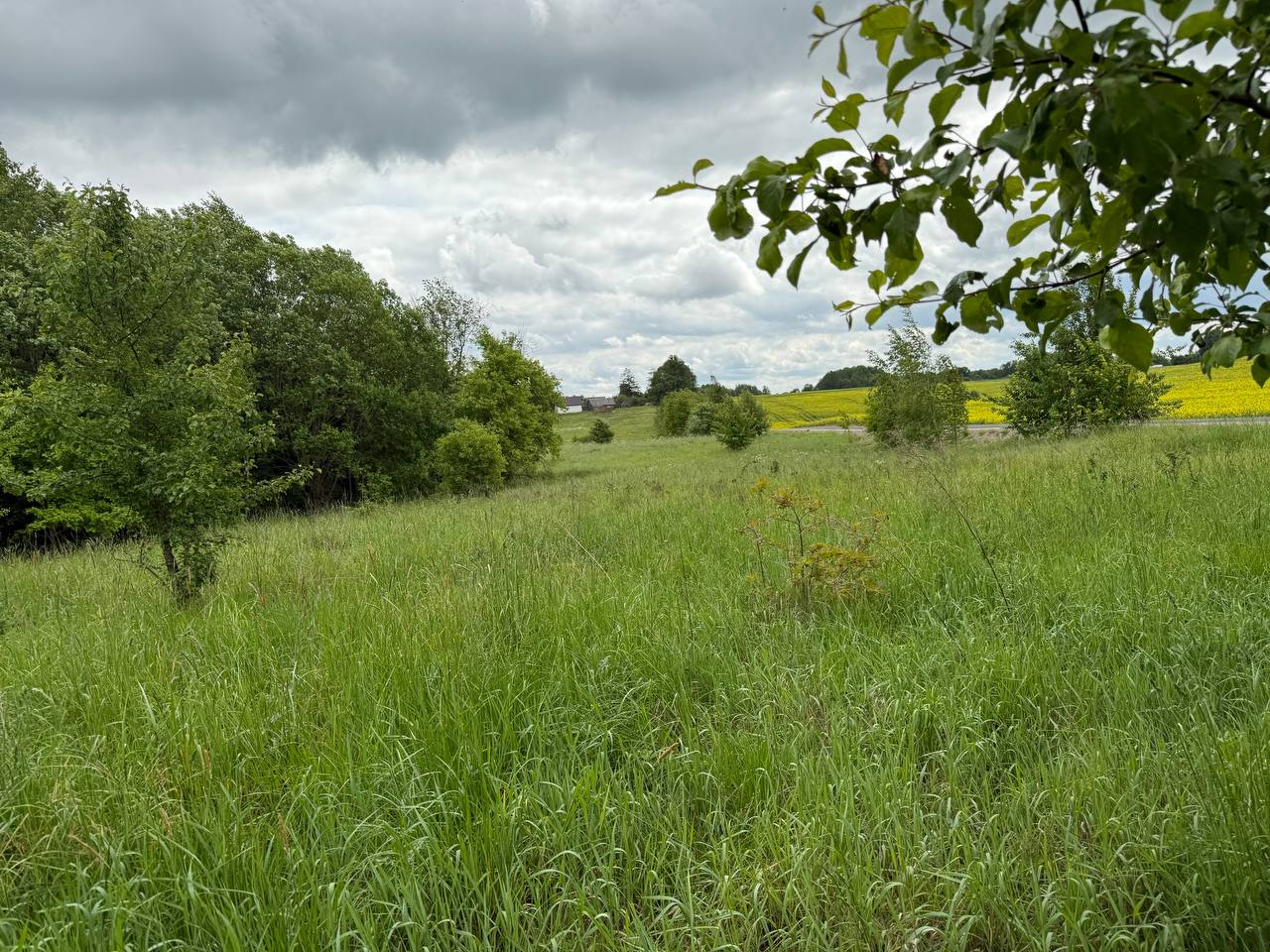 PARDUODAMAS 4,0996 HA SKLYPAS MARGARAVOS K., ALYTAUS R. – ŠALIA NEMUNO IR PUNIOS ŠILO!