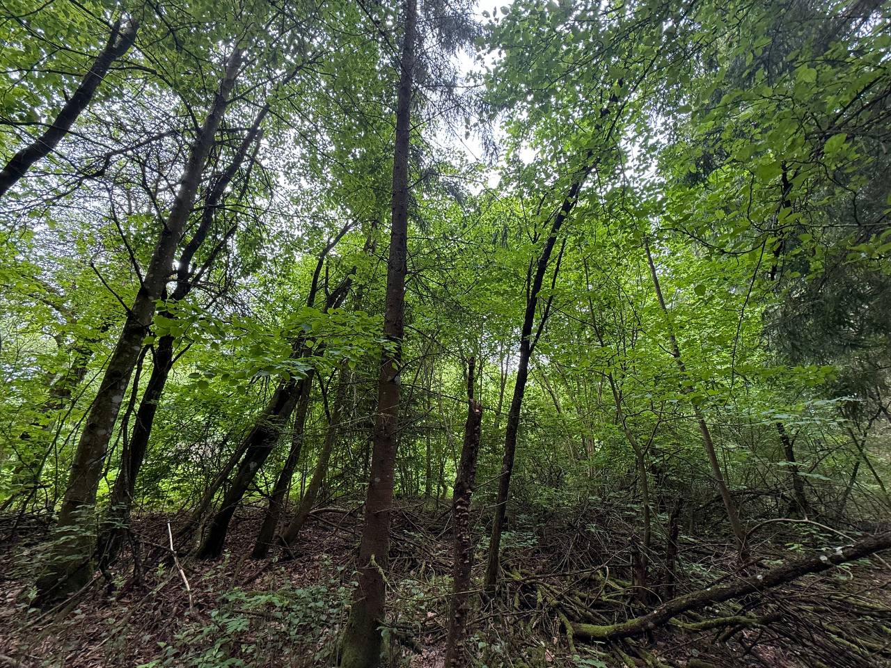 PARDUODAMAS 4,0996 HA SKLYPAS MARGARAVOS K., ALYTAUS R. – ŠALIA NEMUNO IR PUNIOS ŠILO!