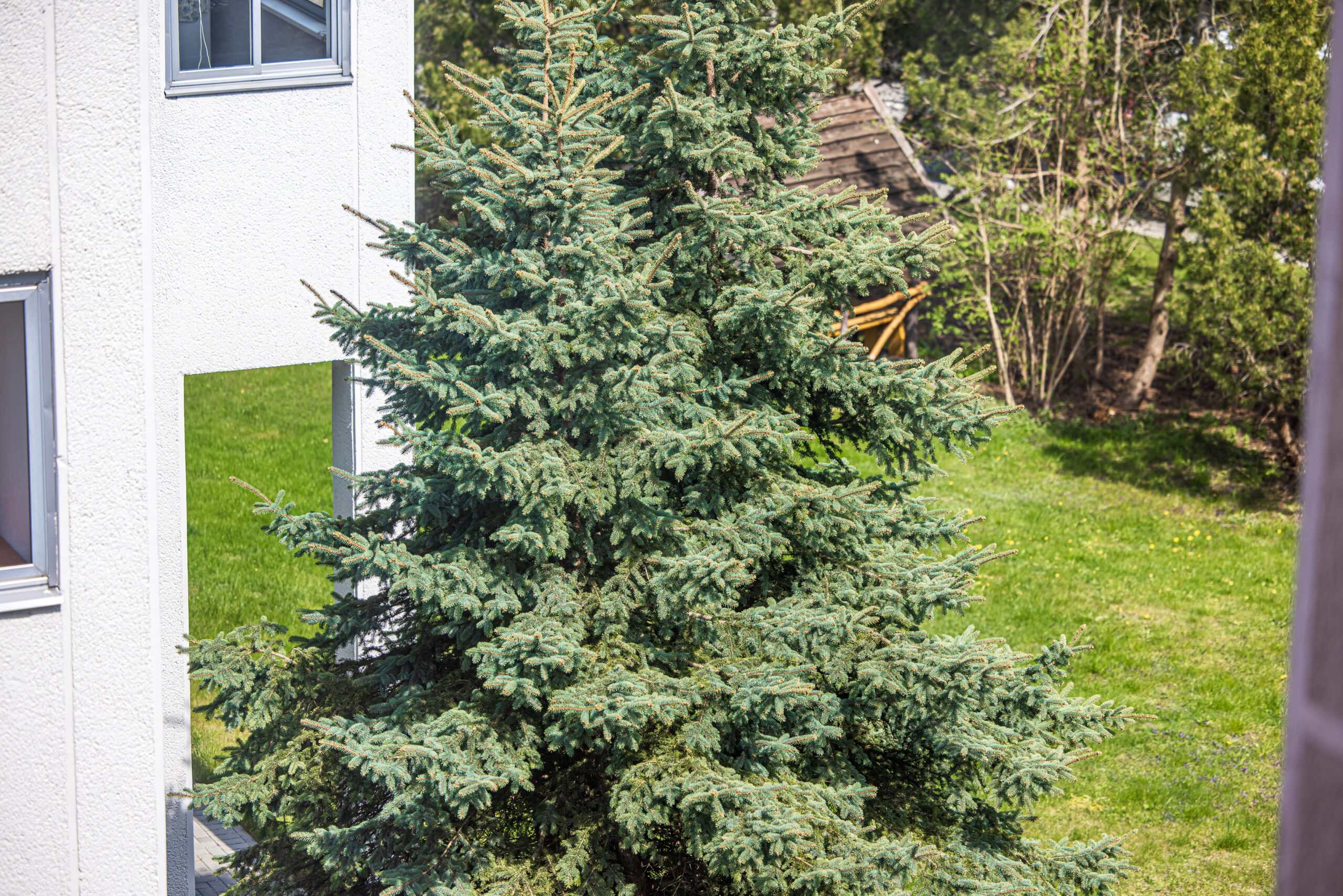 Parduodami butai Šventojoje !!! Šventojoje, naujos 25 – 67 kv. m. butų erdvės 1 – 2 – 3 kambarių