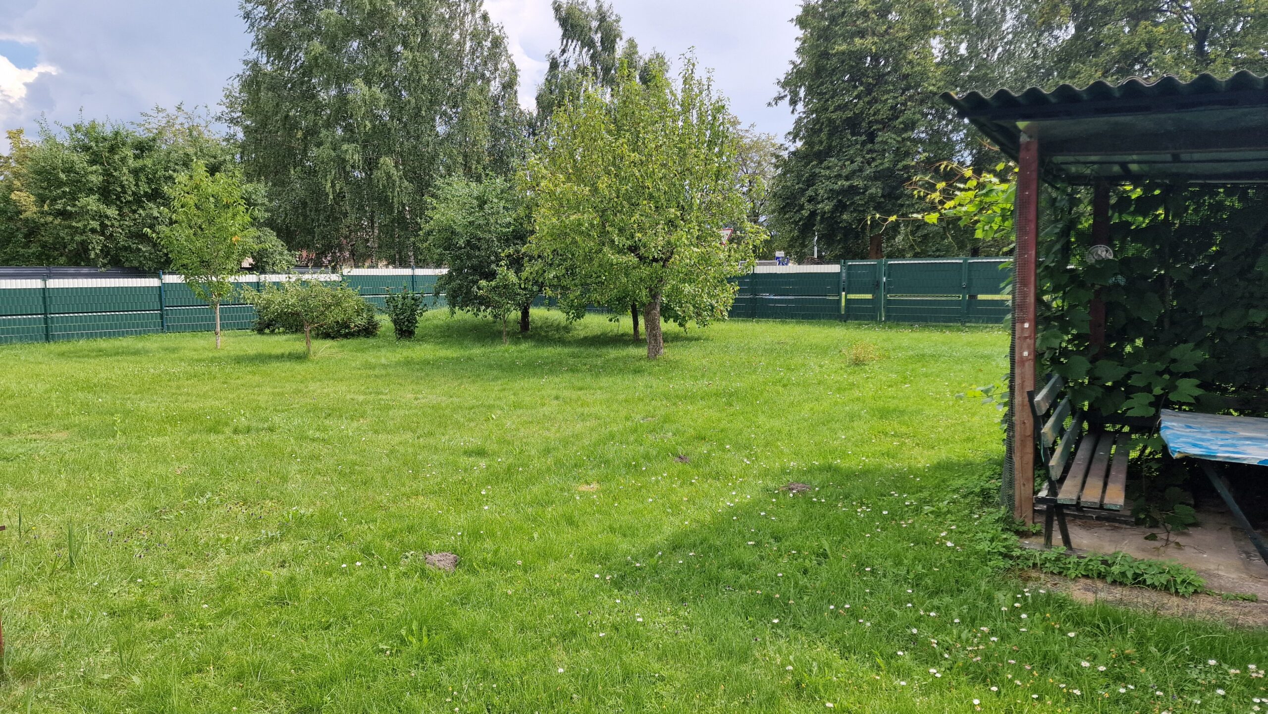 Parduodamas sodų bendrijoje „Šarmutas“ sodas Vėgėlių g. 78 Panevėžys. Sklypas 7,8 aro