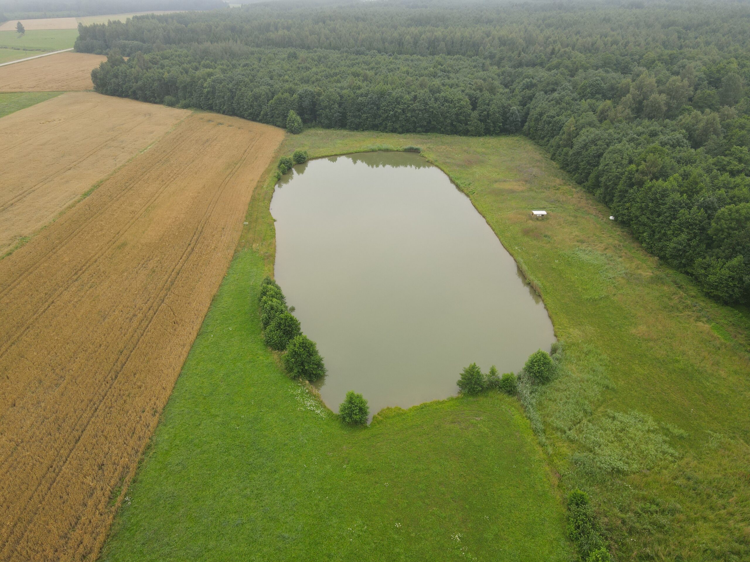 PARDUODAMAS MŪRINIS NAMAS