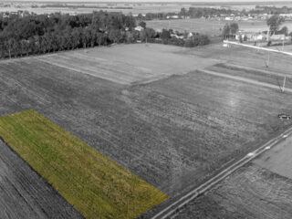 DJI_0568-1