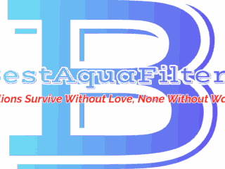 d10a6b85-cd56-490d-935c-98aa19d1d4cd