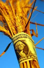 Perkame grūdus visoje Lietuvoje