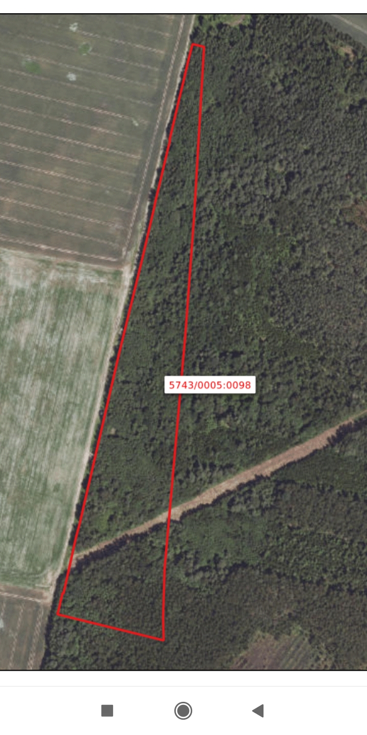 Parduodamas miškas 6.46ha.