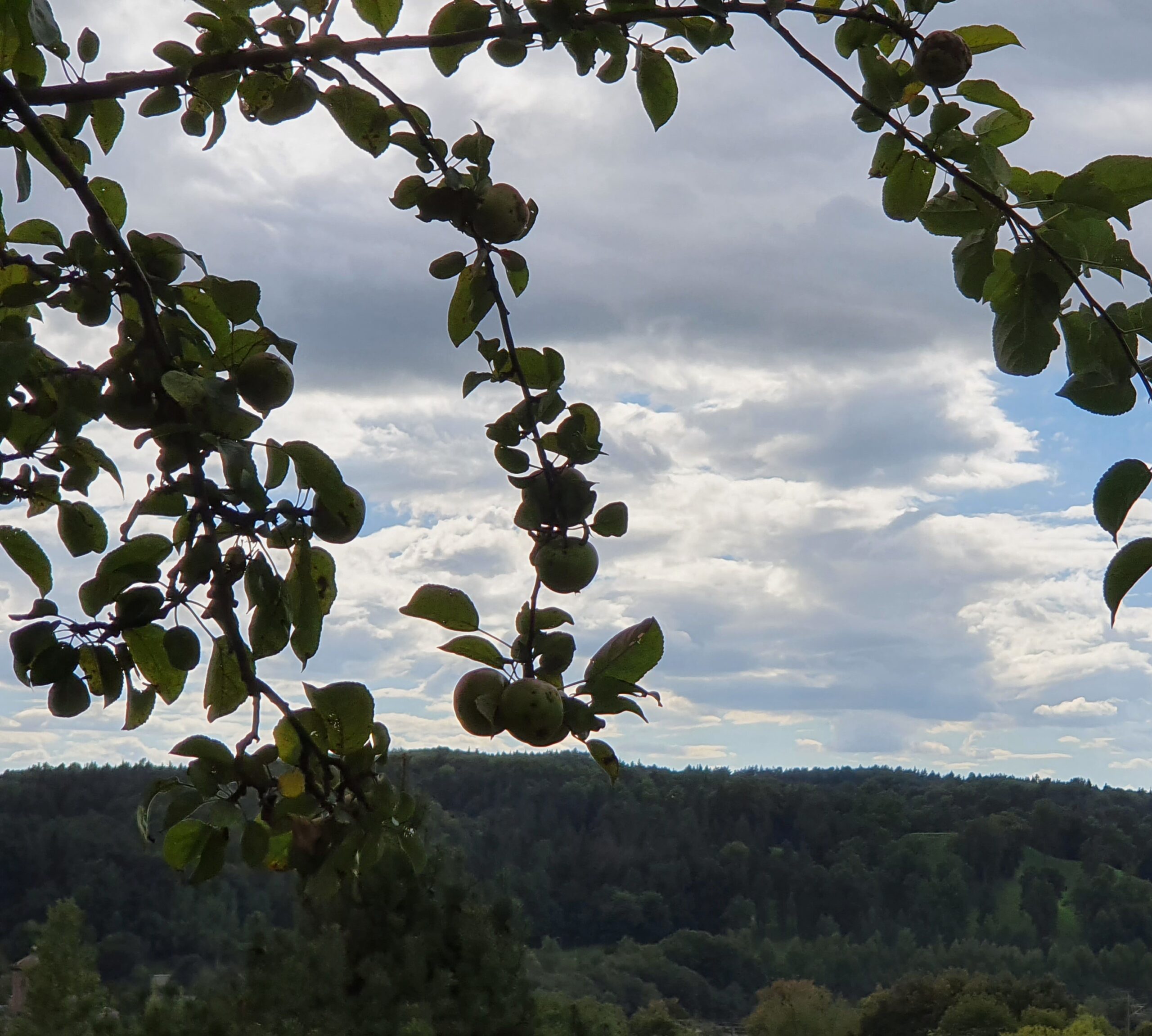 Parduodamas sudęges butas su 8 arų žemės sklypų