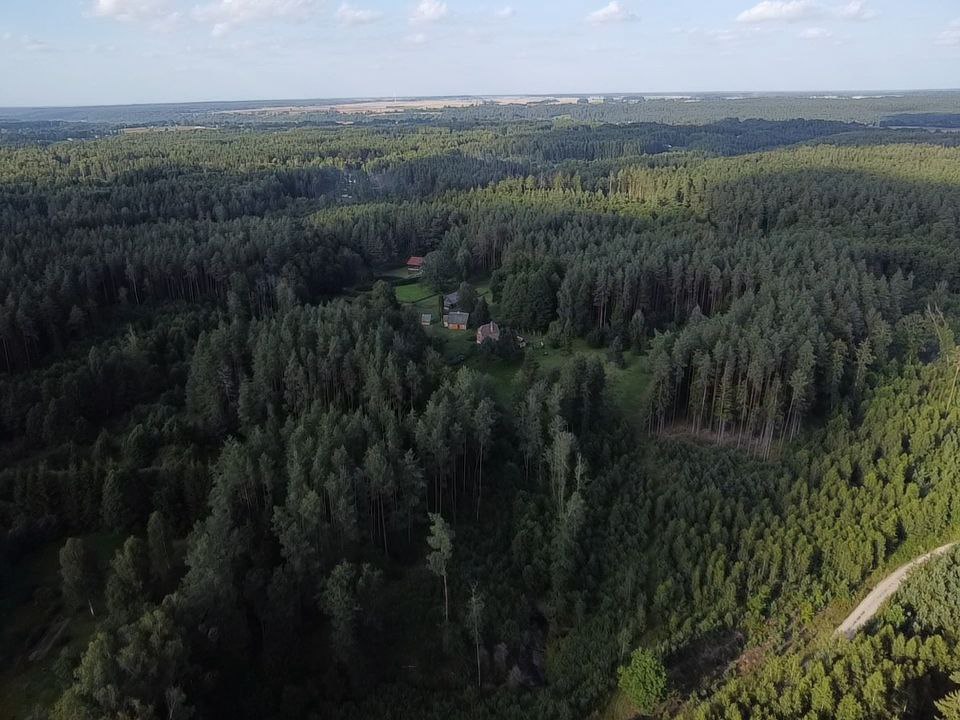 Parduodamas 9.8287 ha miško sklypas Kauno r.