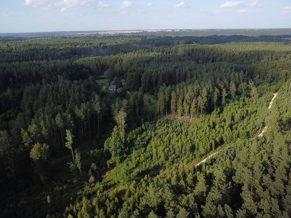 Parduodamas 9.8287 ha miško sklypas Kauno r.