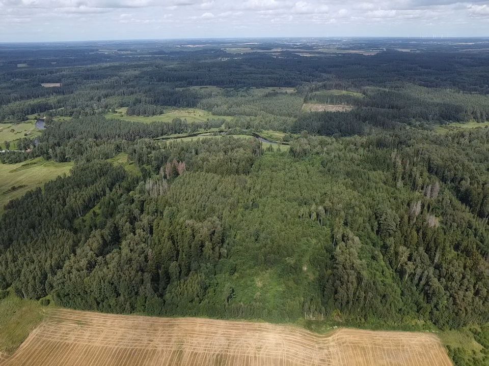Parduodamas žemės ūkio paskirties 6.57 ha su mišku Anykščių r.