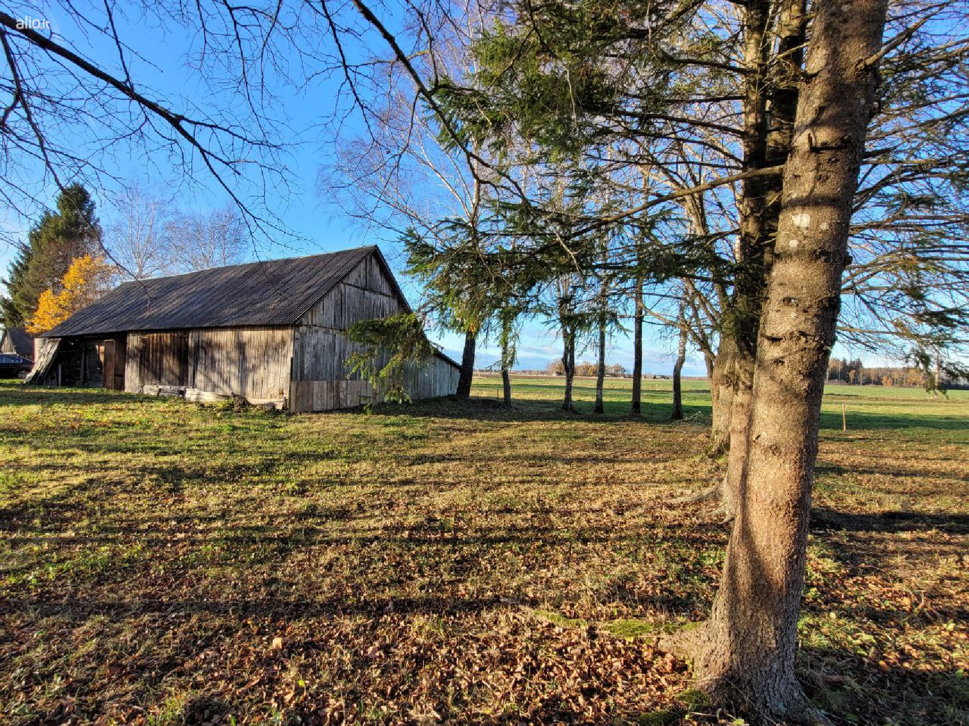 Parduodamos 2 sodybos Jurbarko r. sav., Veliuonos sen.