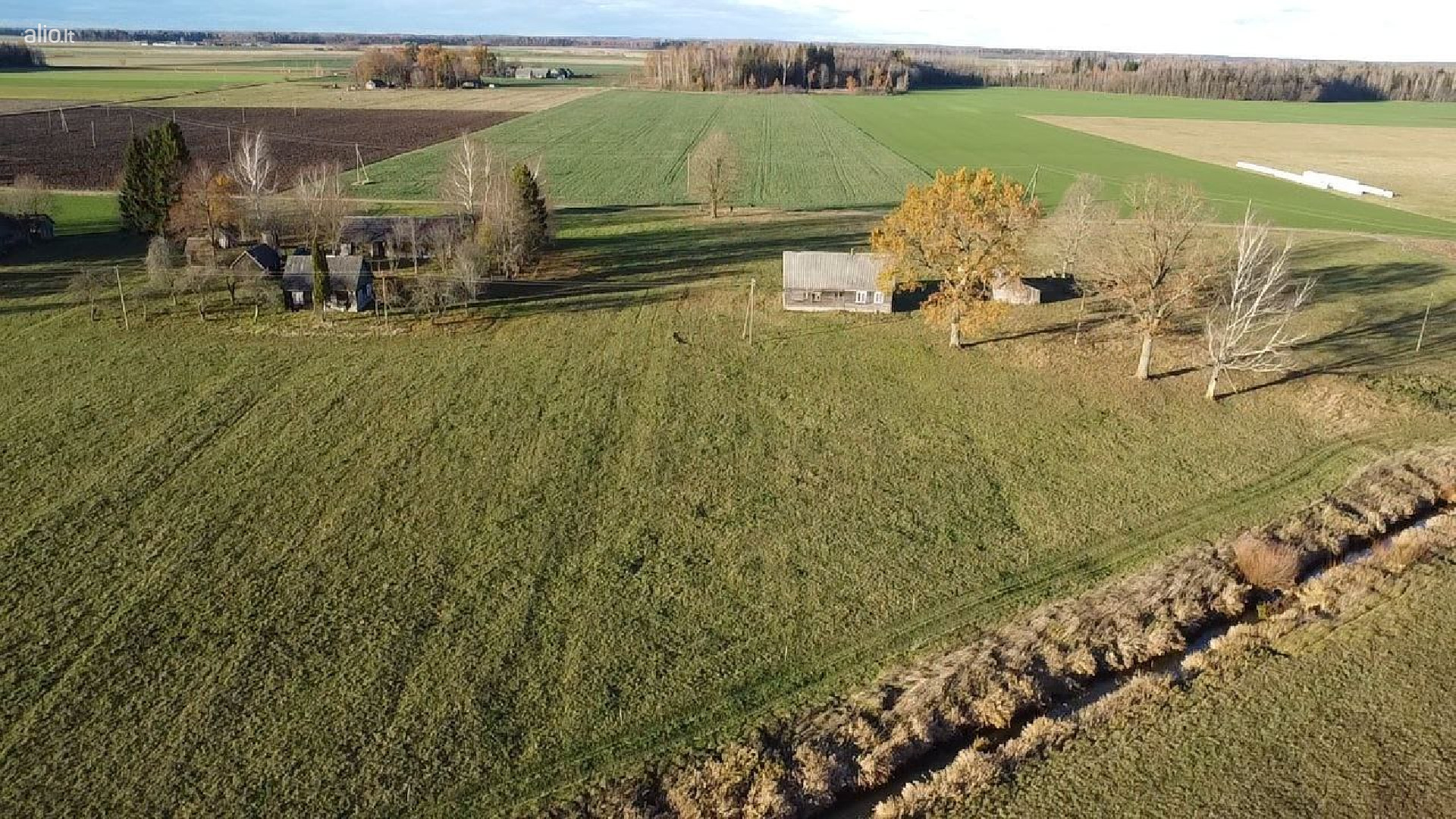 Parduodamos 2 sodybos Jurbarko r. sav., Veliuonos sen.