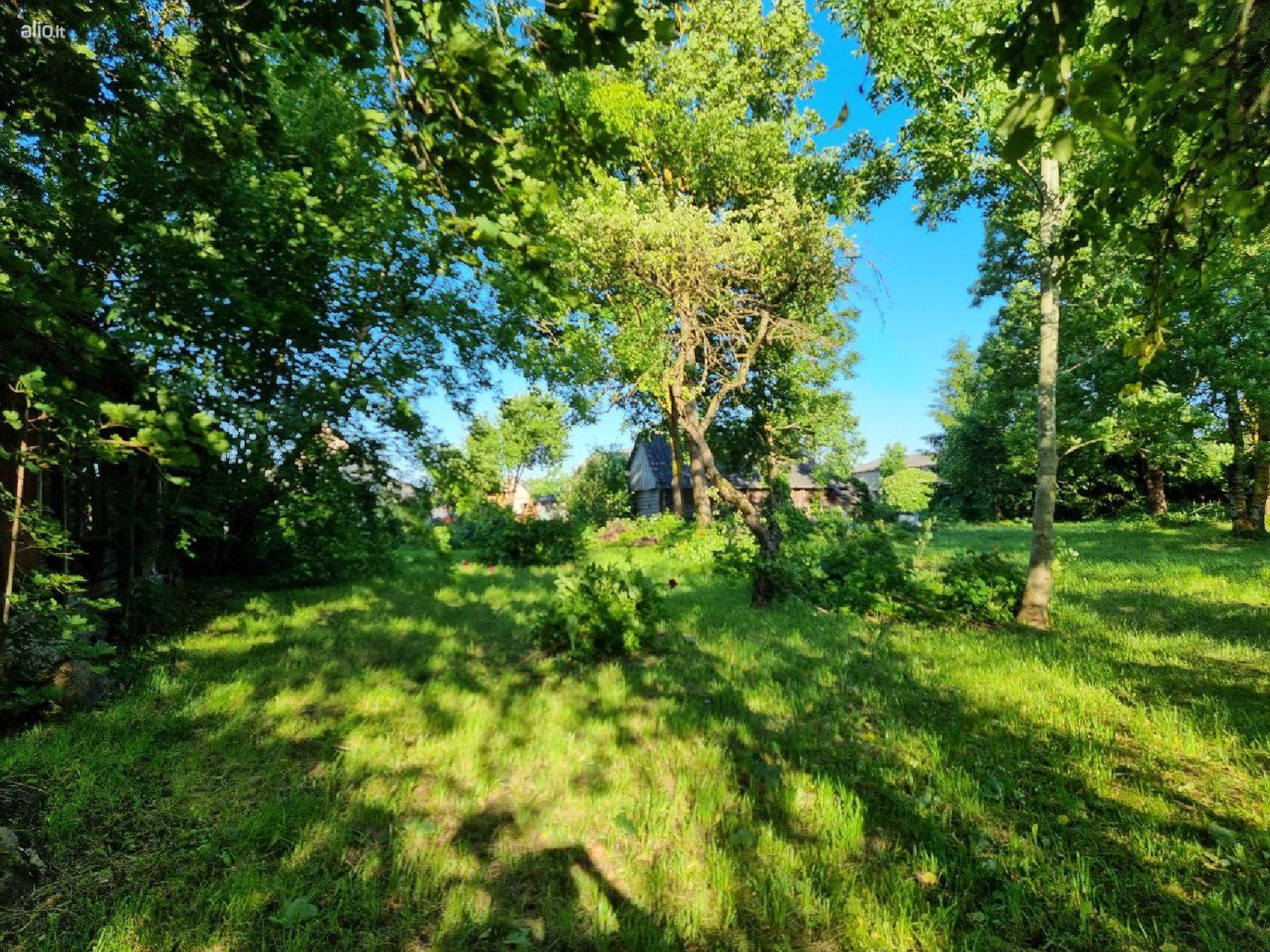 PARDUODAMA Sodyba Biržu raj .Skrebiskiu km. GALIMA IŠSIMOKĖTINAI