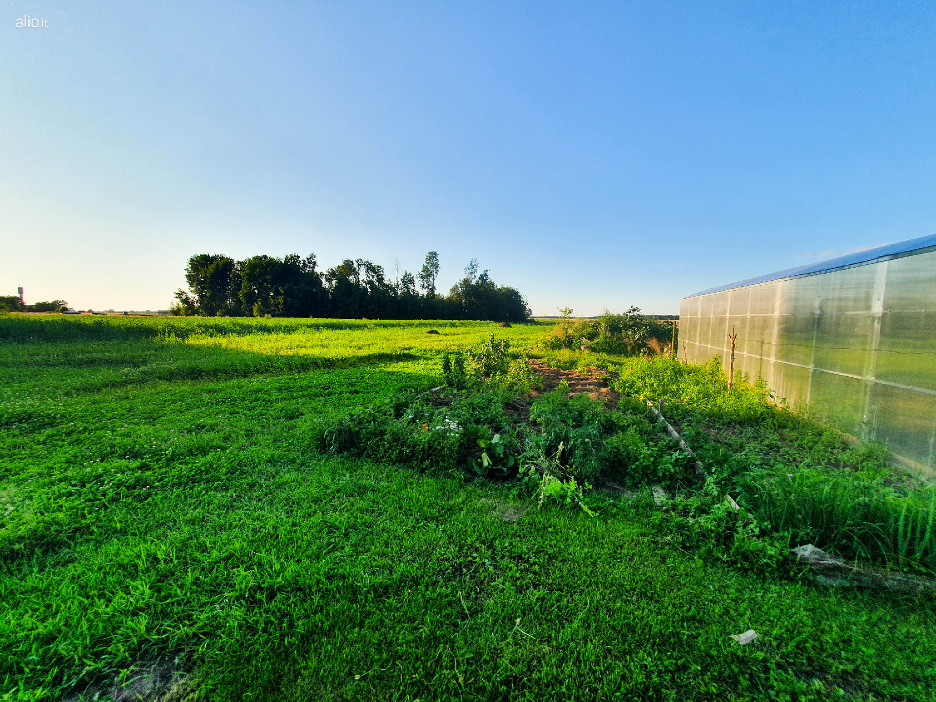 Parduodamas namas Panevėžio raj. Mikenai.