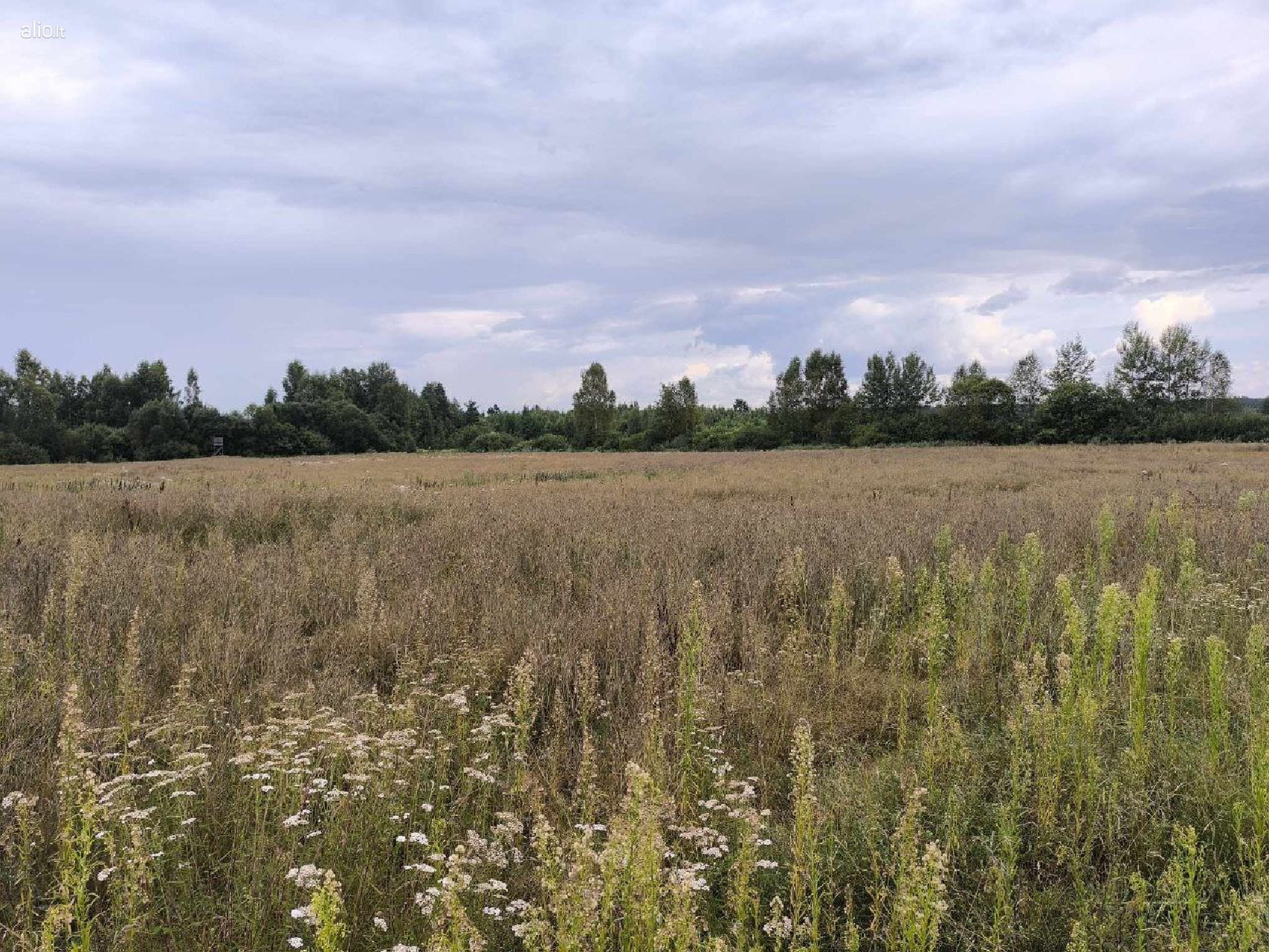 Parduodama sodyba su žeme Alytaus raj. Butrimonys, Beržinės km.