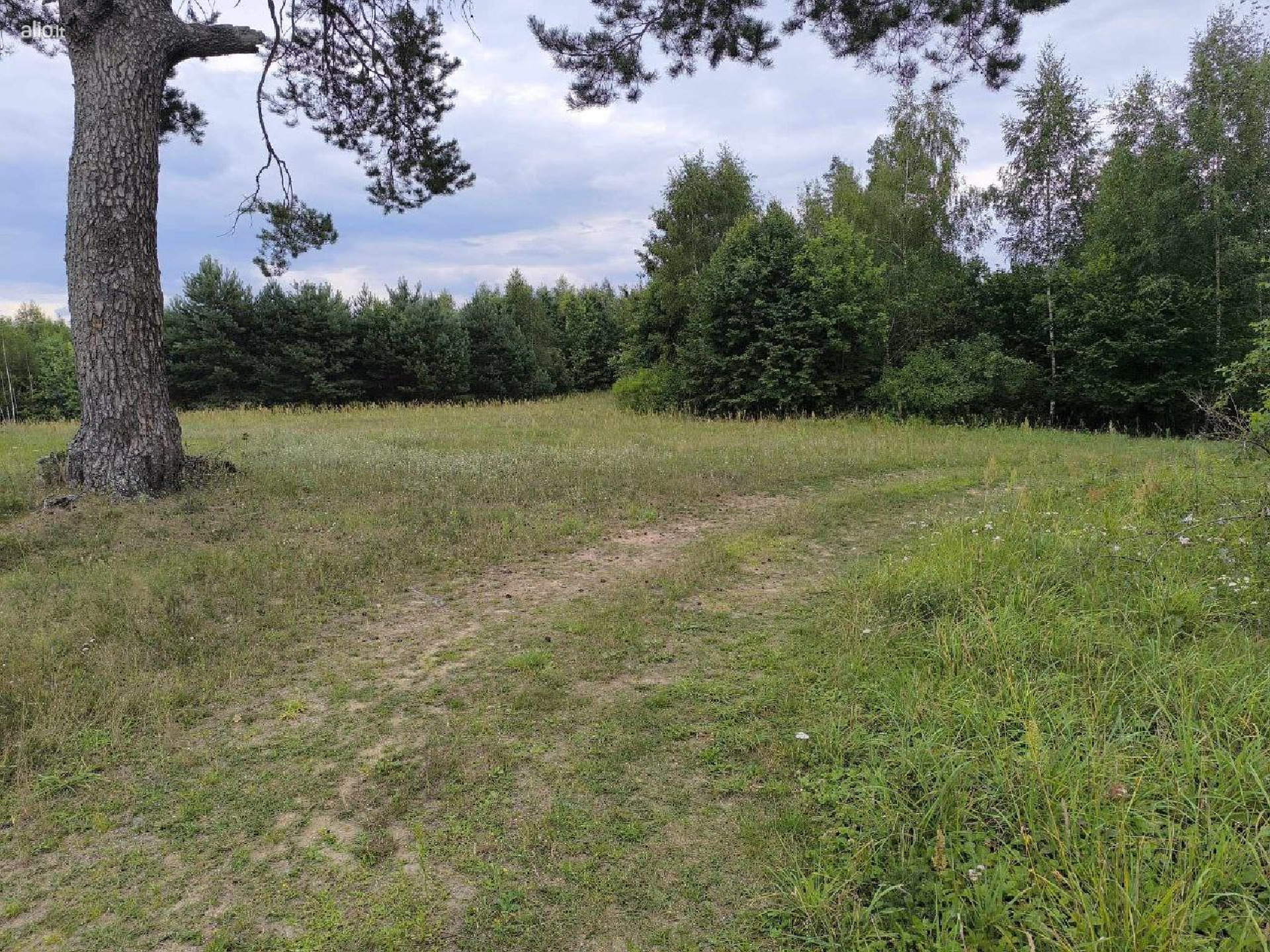 Parduodama sodyba su žeme Alytaus raj. Butrimonys, Beržinės km.