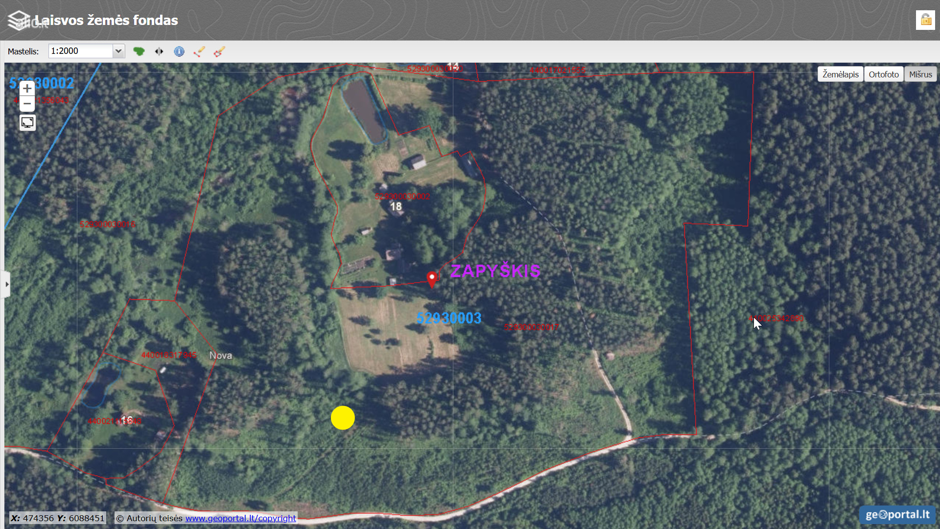 Parduodamas 9.8 ha miško sklypas Kauno raj, Zapyškio sen.