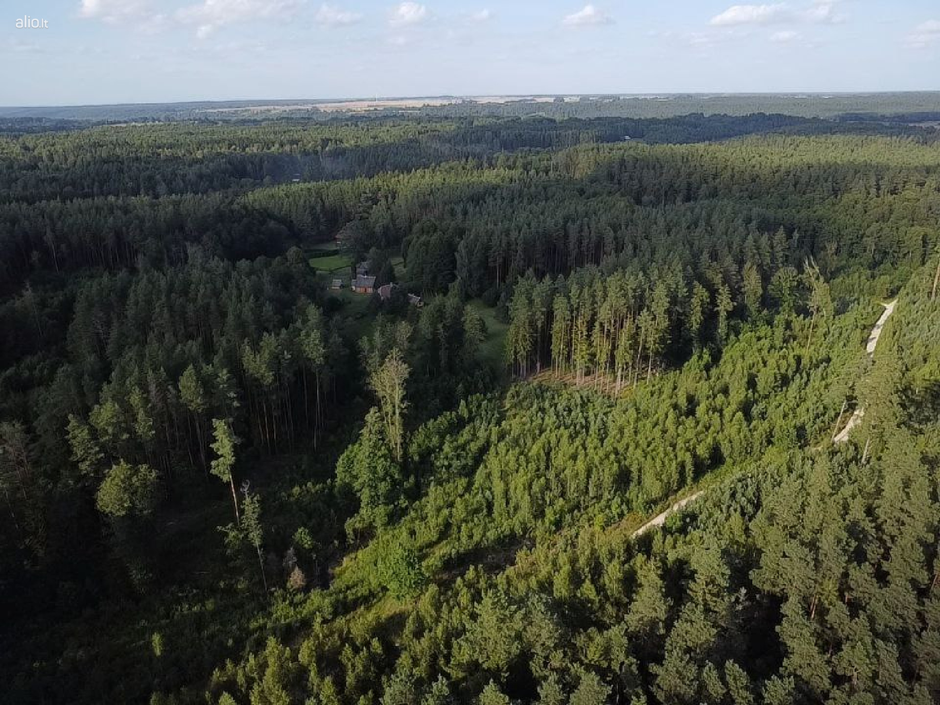 Parduodamas 9.8 ha miško sklypas Kauno raj, Zapyškio sen.