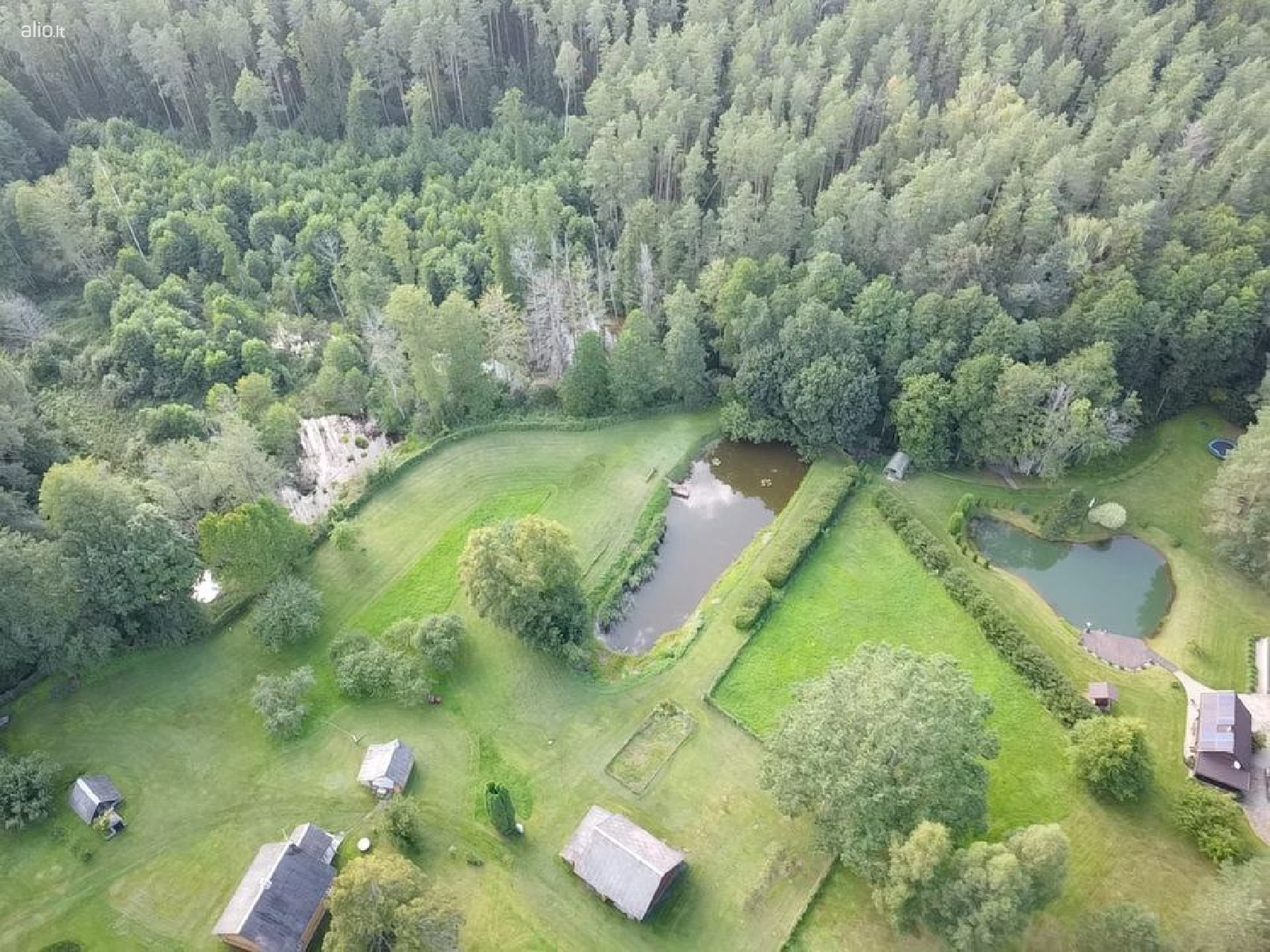 Parduodamas 9.8 ha miško sklypas Kauno raj, Zapyškio sen.