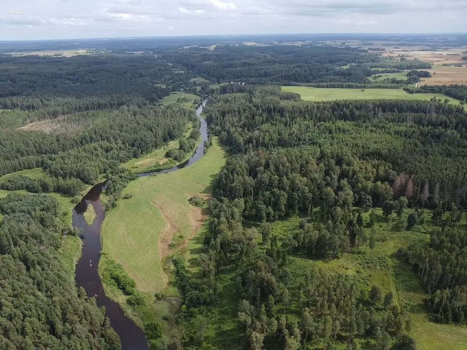 Žemės ūkio paskirties sklypas 6.5 ha su mišku – šalia upės Šventoji – Anykščių raj. Debeikių sen.