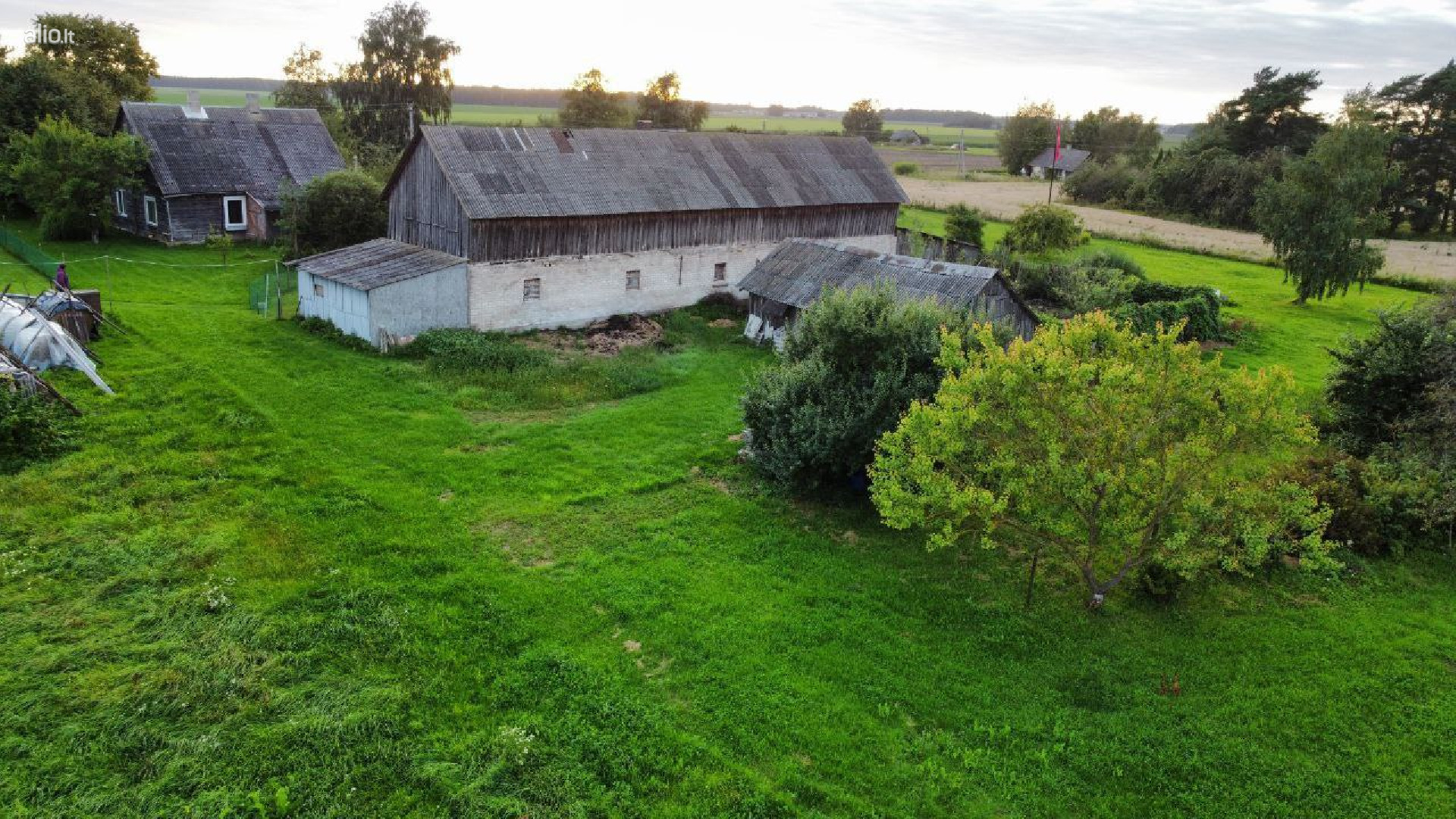 Parduodama sodyba su ūkiu ir sklypu Pakruojo raj. Mediniskiu km, galima išsimokėtinai.