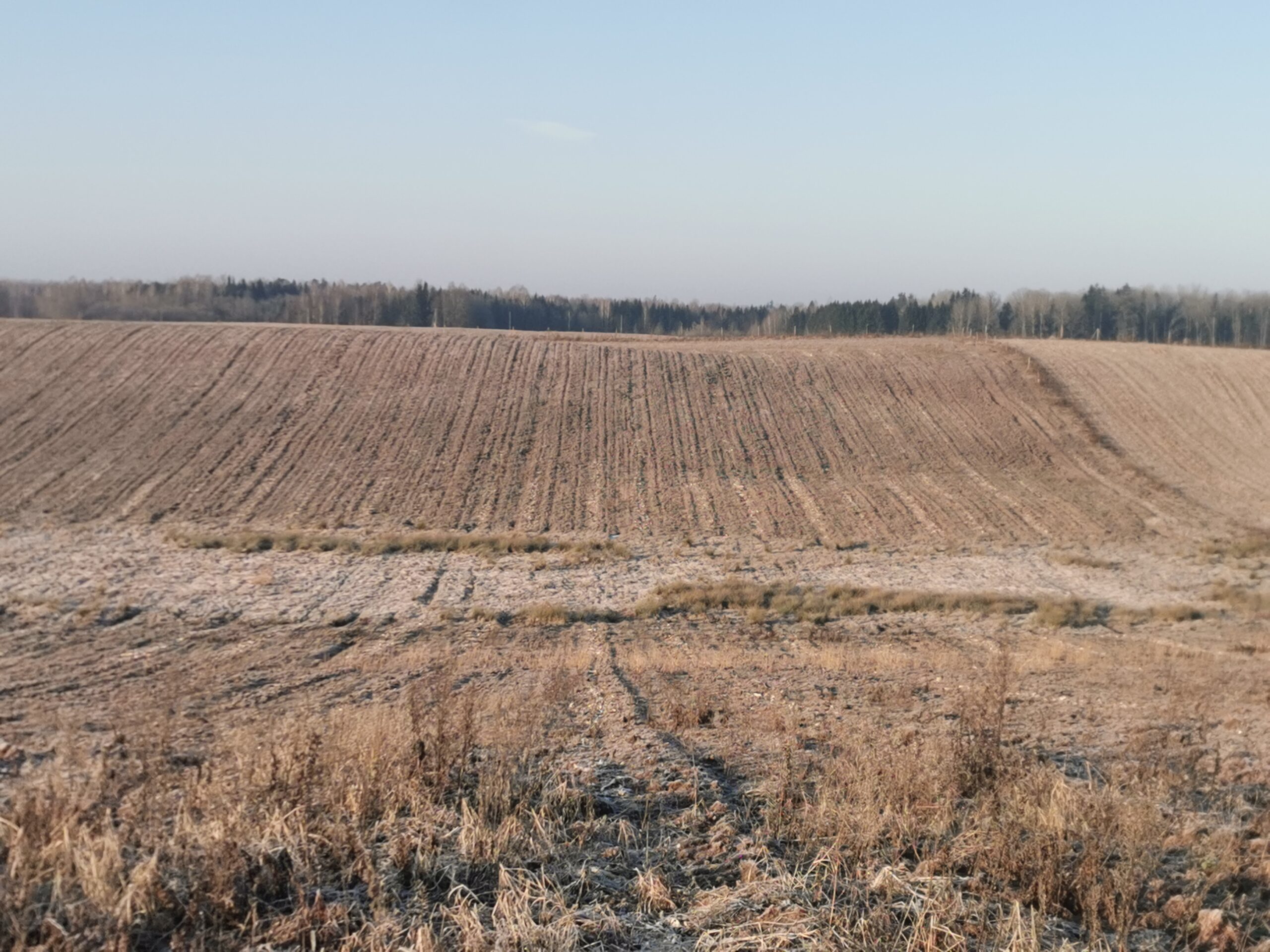 Parduodamas žemės ūkio paskirties sklypas