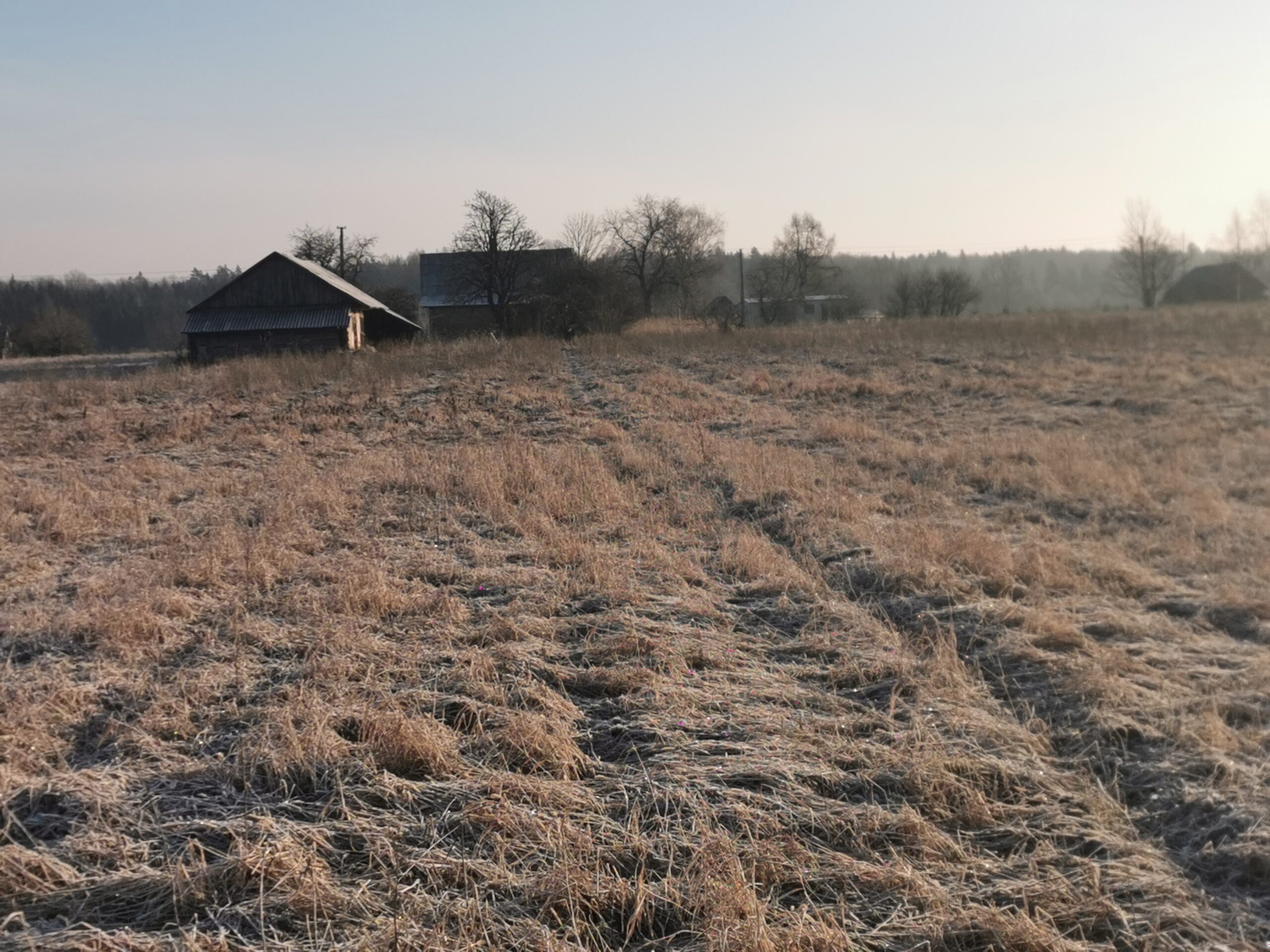 Parduodamas žemės ūkio paskirties sklypas