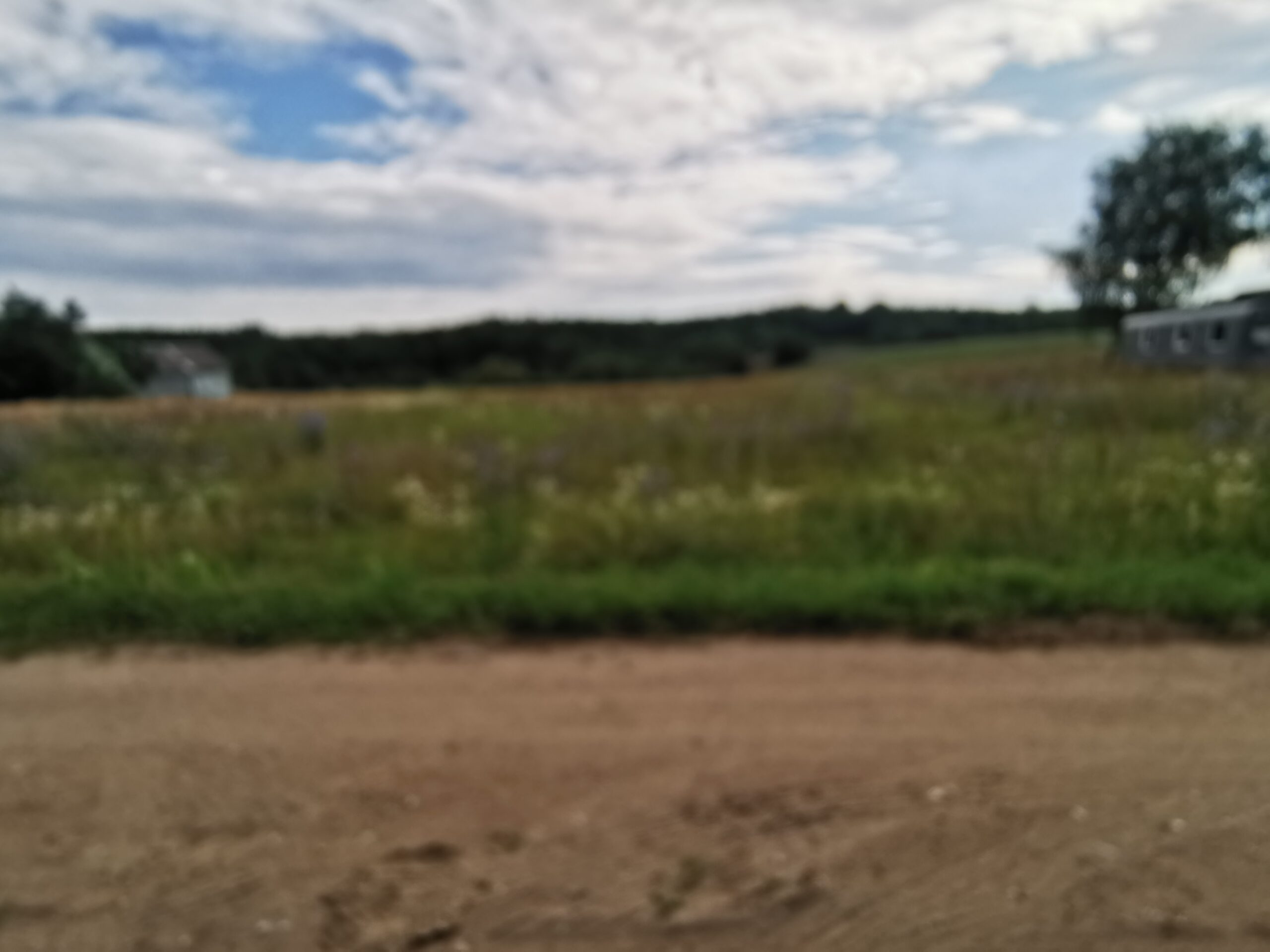 Parduodamas žemės ūkio paskirties sklypas