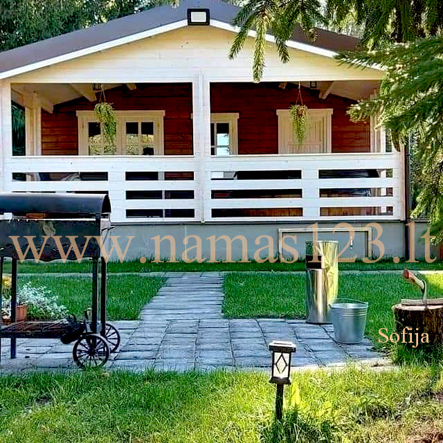 Namelis, nameliai, sodo namai ir mediniai vasarnamiai bei garažai.