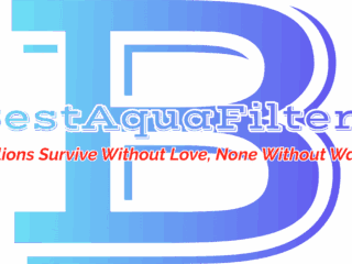 d10a6b85-cd56-490d-935c-98aa19d1d4cd-min