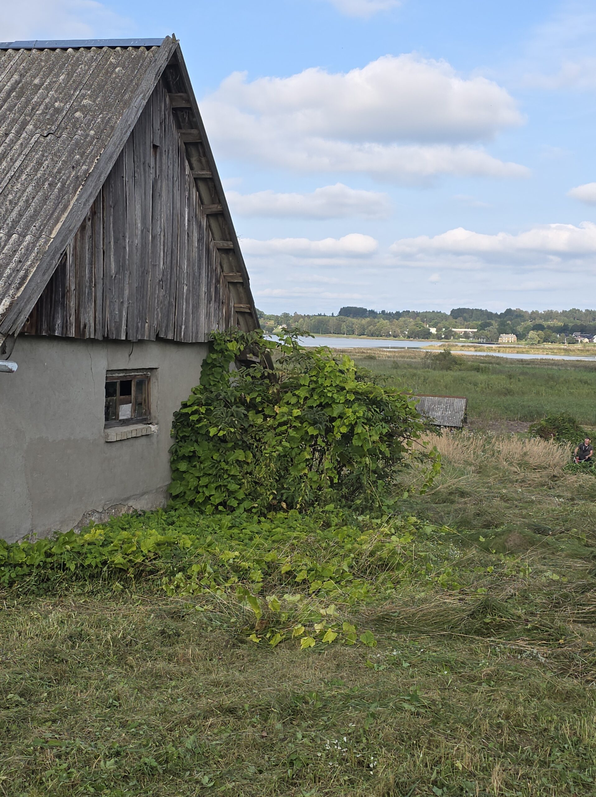 Parduodamas namas Dusetose