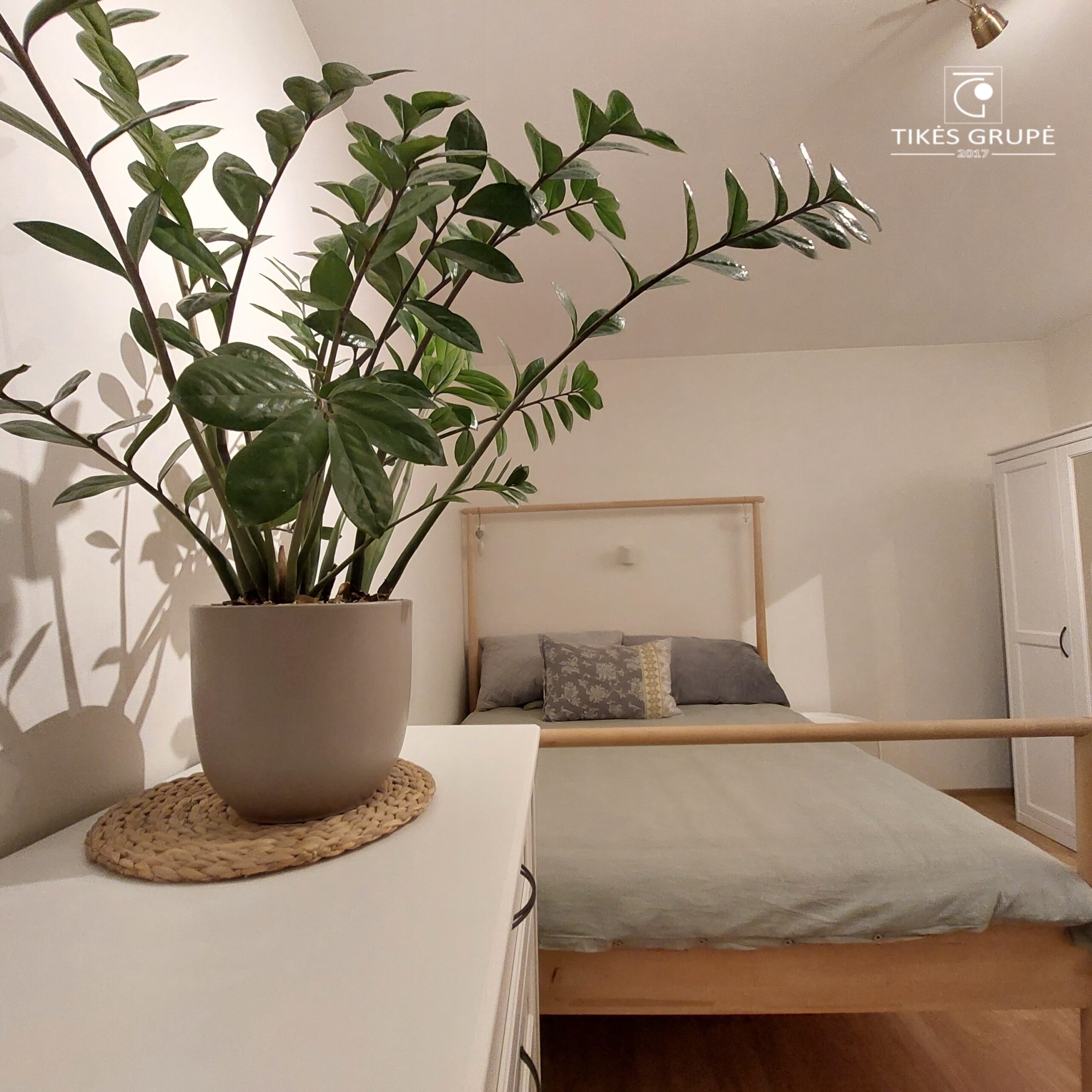 Parduodamas tvarkingas 2 kambarių butas su holu