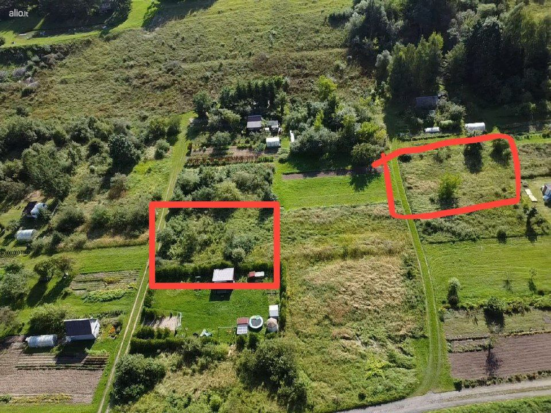 Parduodami žemės sklypai Kupiškio raj. Noriunai. Išsimokėtinai.