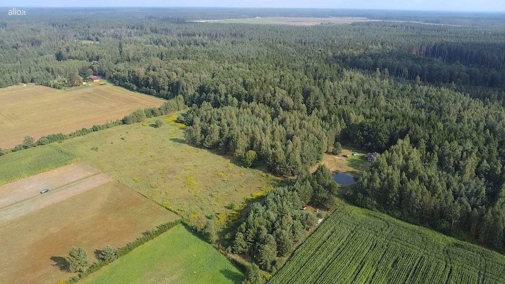 Parduodamas sklypas 1,45ha Kazlų rudos raj. Dambravimos km.