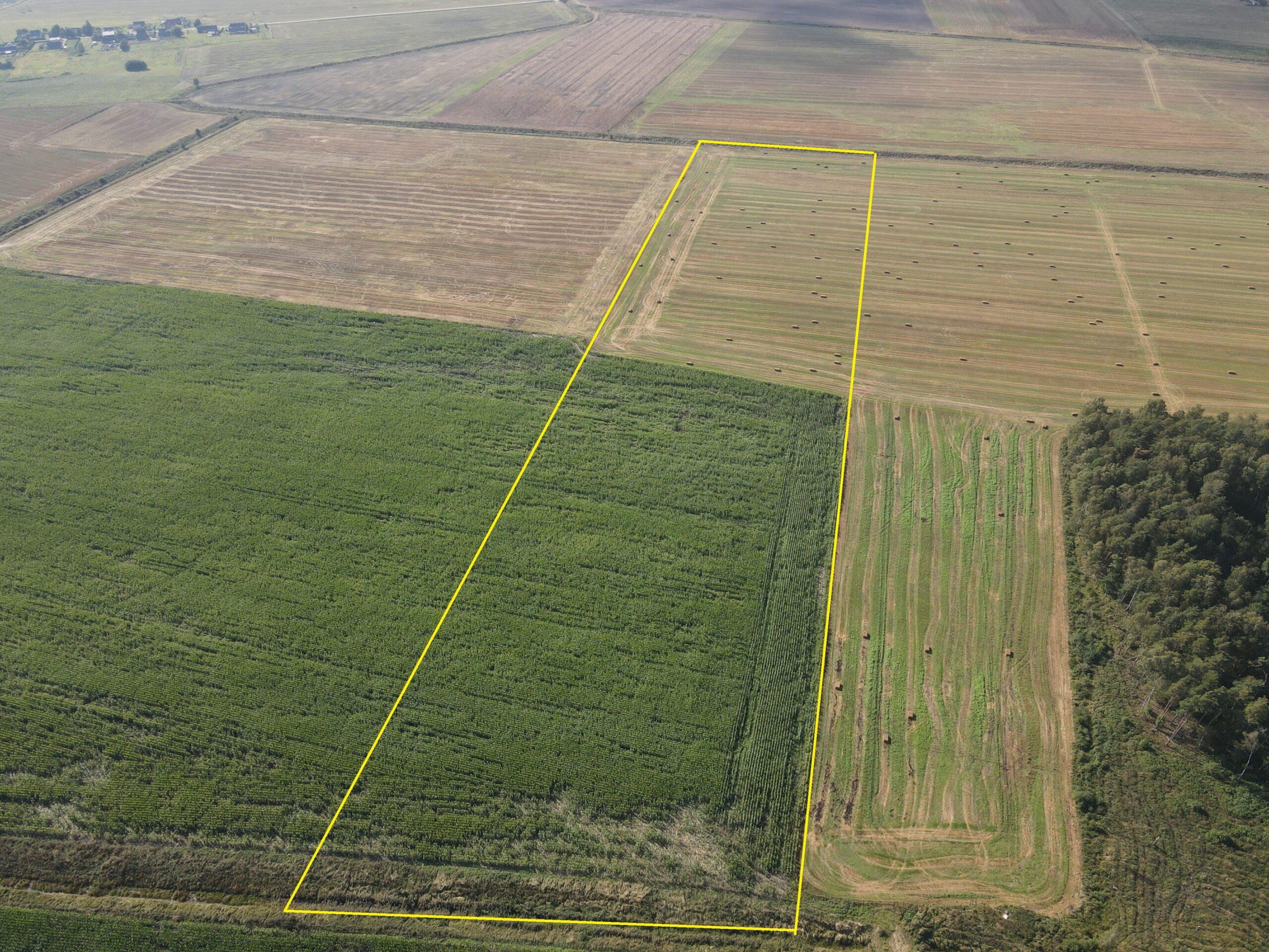 9,1853 HA ŽEMĖS SKLYPAS Kėdainių r. sav., Truskavos sen., Dvariškių I k.