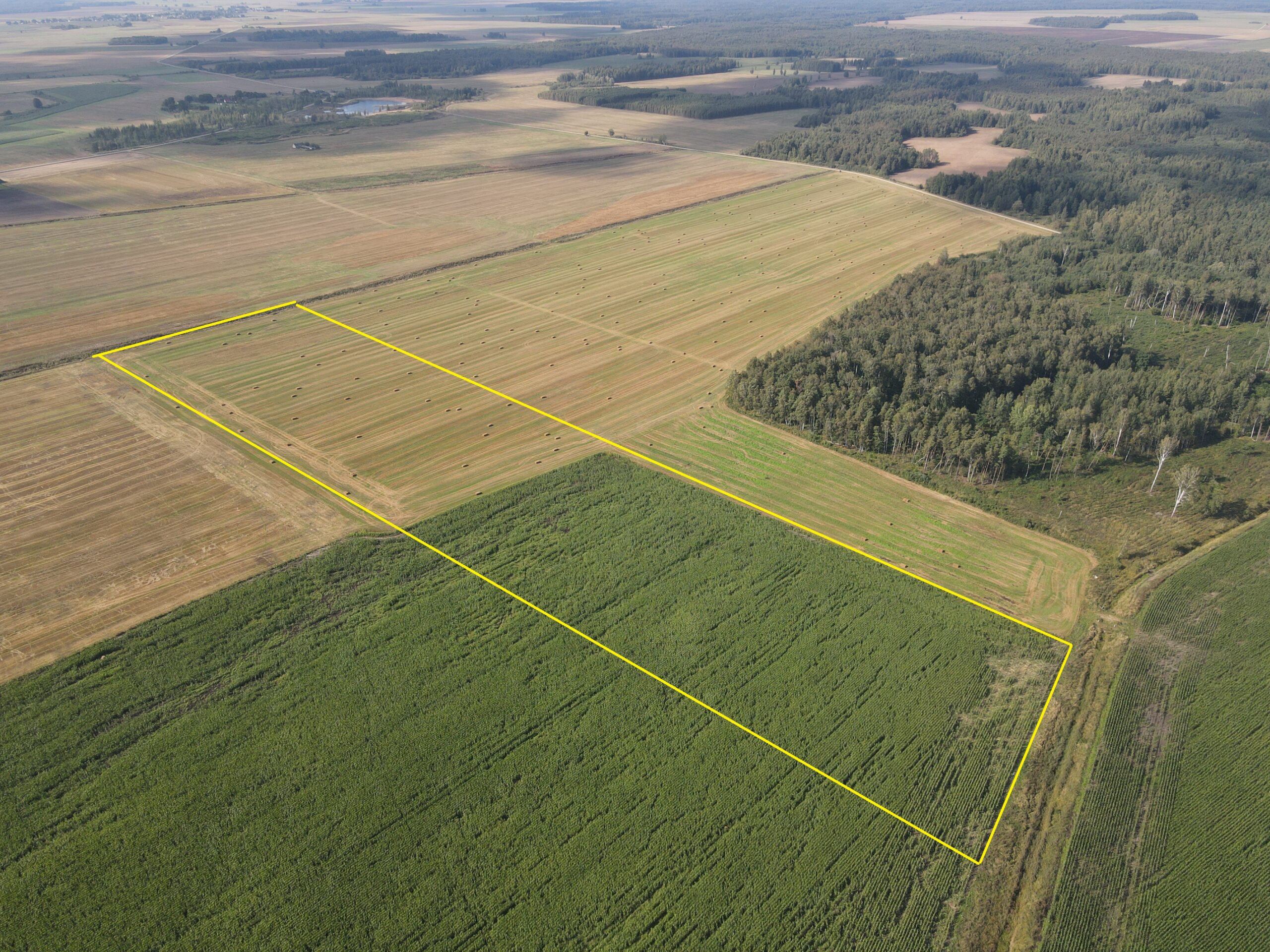 9,1853 HA ŽEMĖS SKLYPAS Kėdainių r. sav., Truskavos sen., Dvariškių I k.