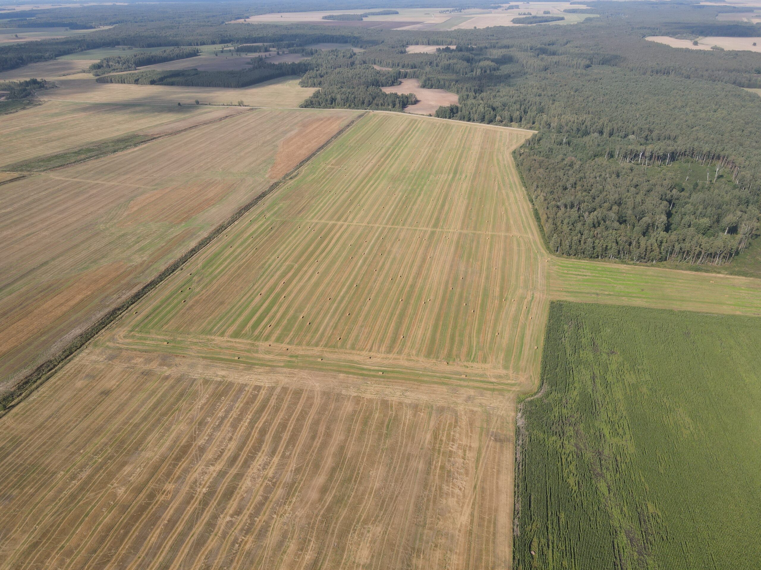 9,1853 HA ŽEMĖS SKLYPAS Kėdainių r. sav., Truskavos sen., Dvariškių I k.