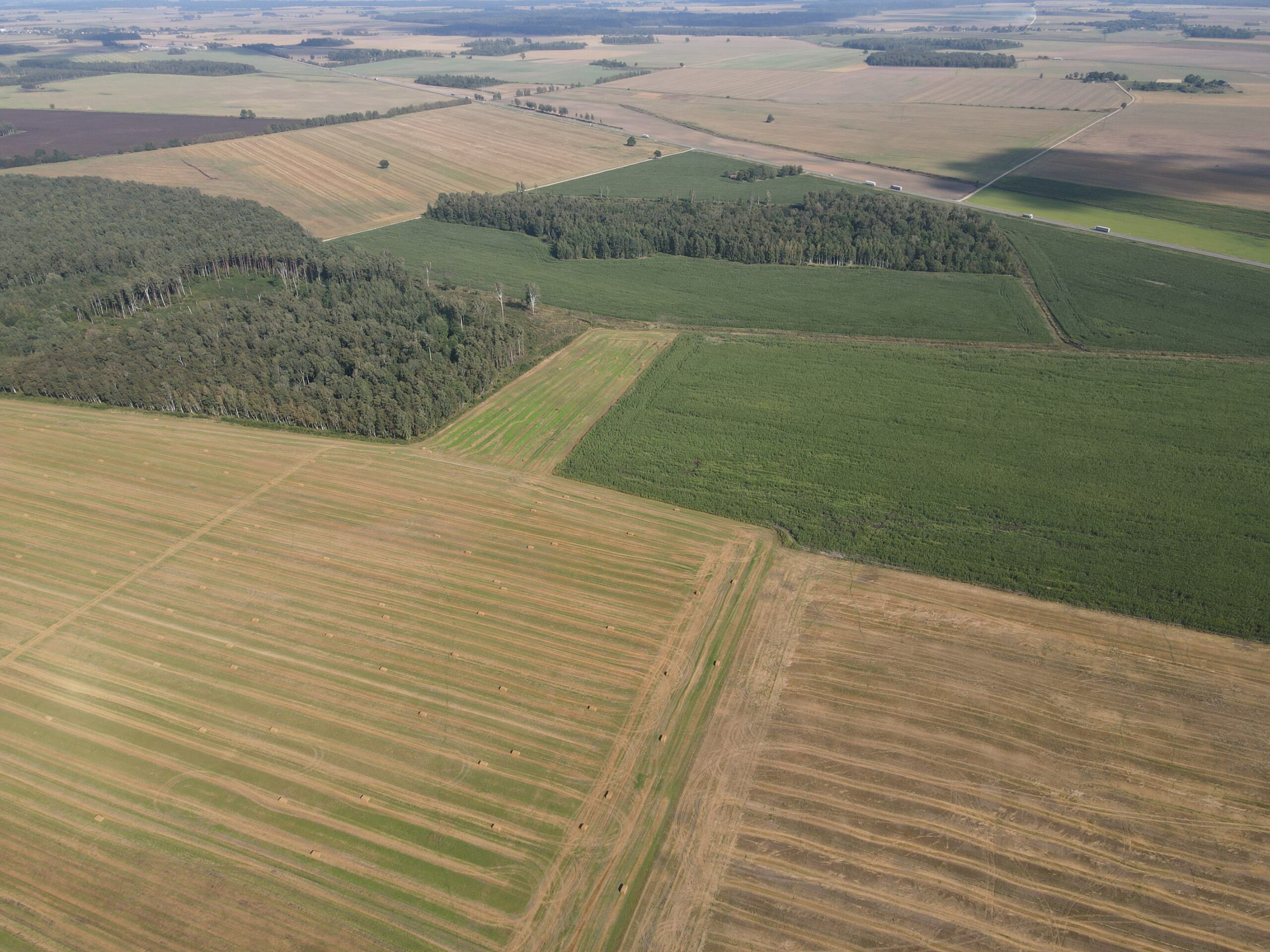 9,1853 HA ŽEMĖS SKLYPAS Kėdainių r. sav., Truskavos sen., Dvariškių I k.