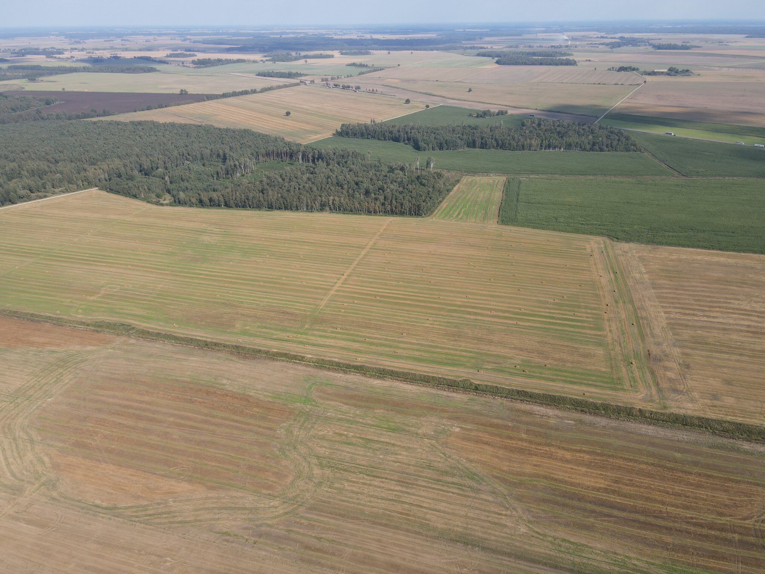 9,1853 HA ŽEMĖS SKLYPAS Kėdainių r. sav., Truskavos sen., Dvariškių I k.