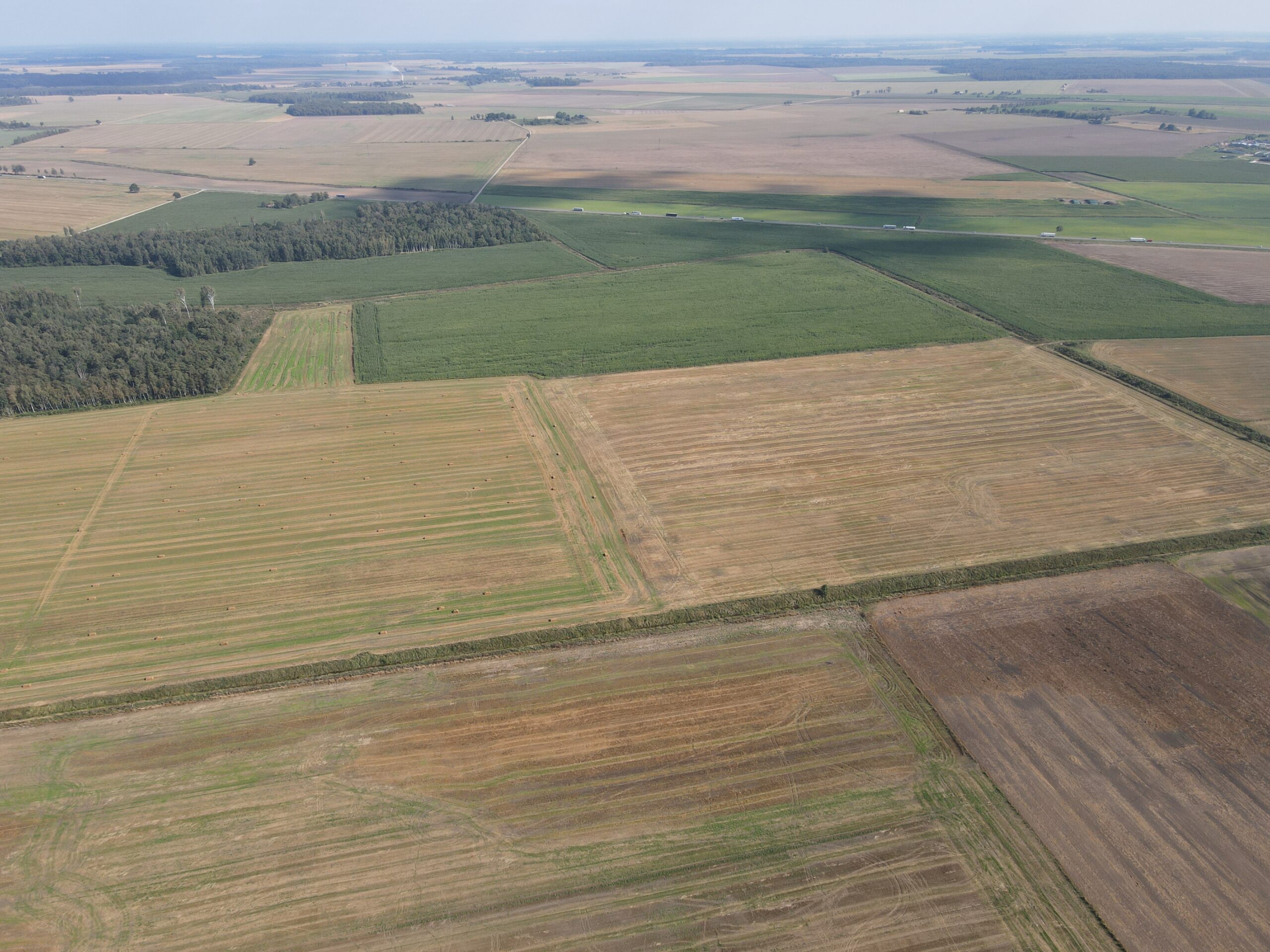 9,1853 HA ŽEMĖS SKLYPAS Kėdainių r. sav., Truskavos sen., Dvariškių I k.