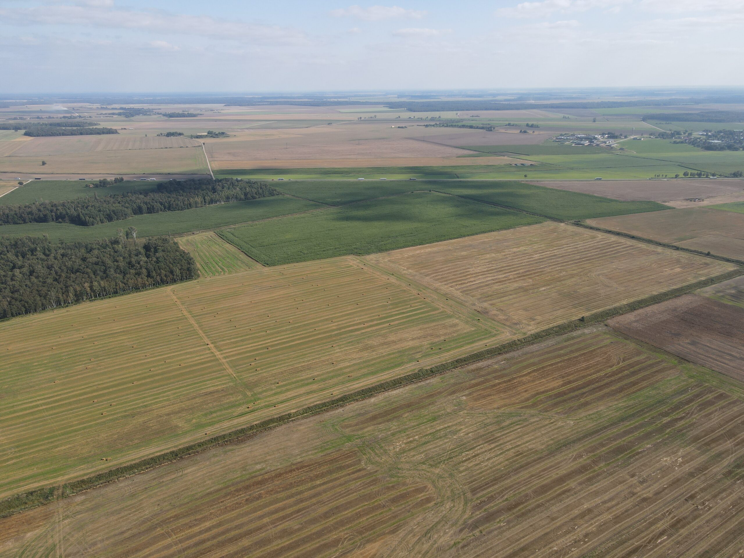9,1853 HA ŽEMĖS SKLYPAS Kėdainių r. sav., Truskavos sen., Dvariškių I k.