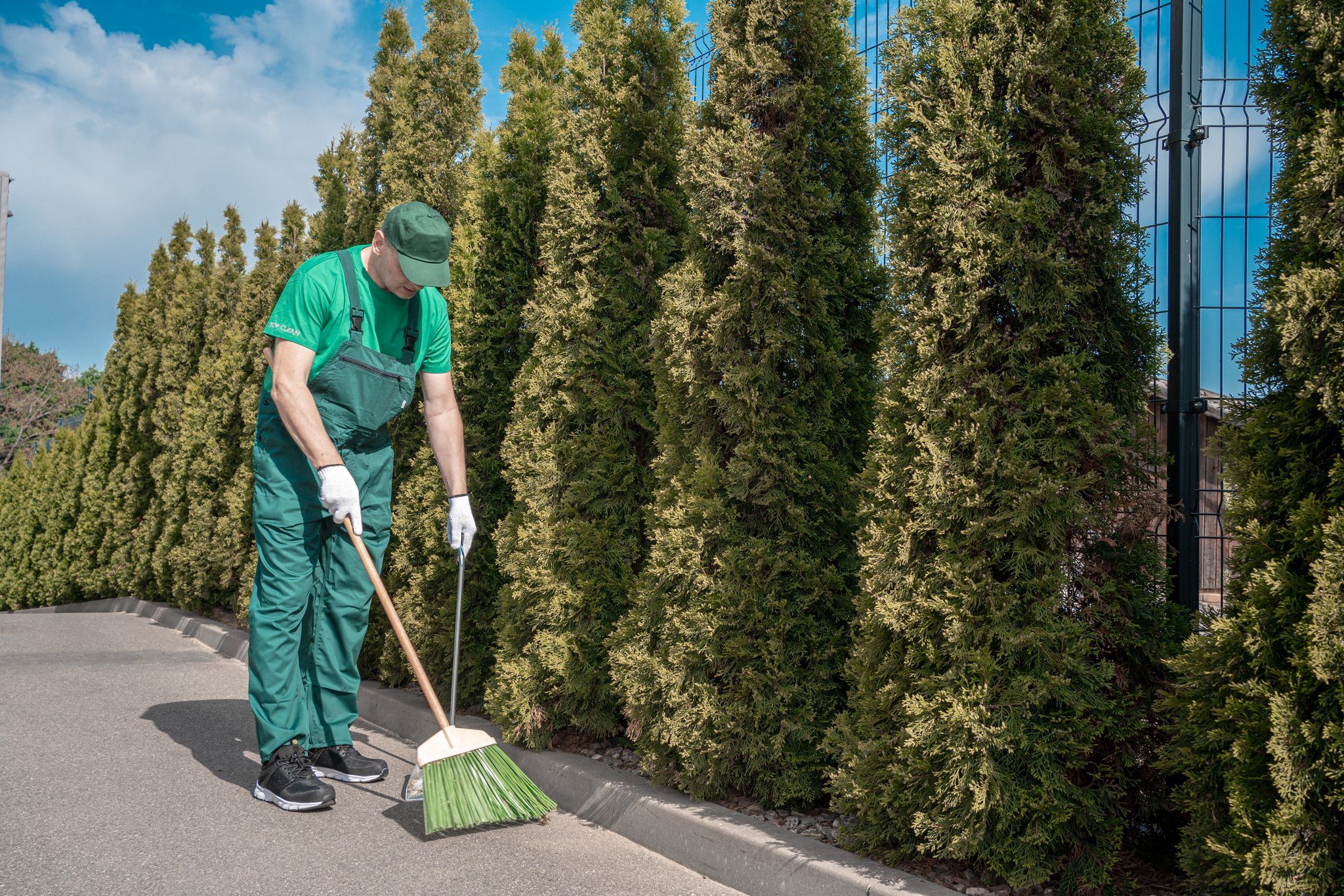 KIEMSARGIS (Ė) GRAIČIŪNO G. (A. PANERIAI)
