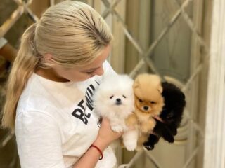 WhatsApp-Image-2023-05-16-at-10.50.12-PM-2