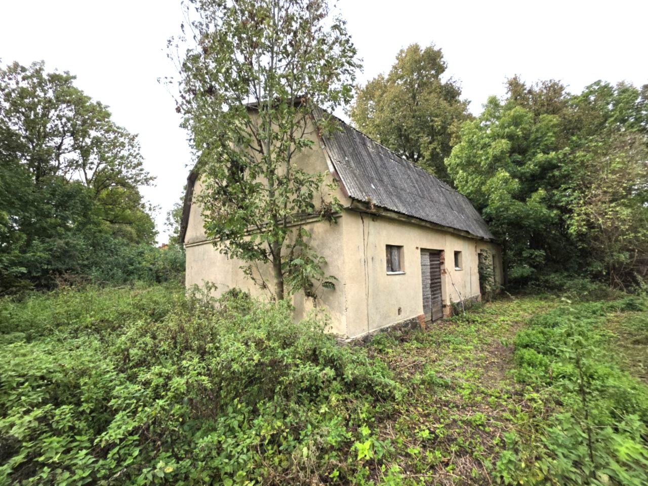 Parduodamas 38 a sklypas su pastatais Raudonpamūšyje, Pakruojo raj.