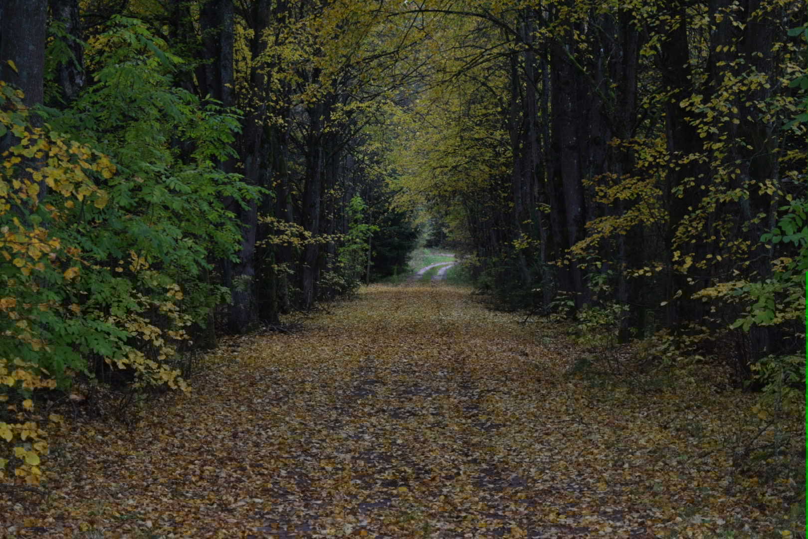 PARDUODAMAS SKLYPAS SU NAMU GAMTOS APSUPTYJE!