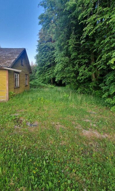 PARDUODAMAS SKLYPAS SU NAMU GAMTOS APSUPTYJE!